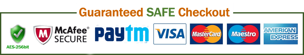Guaranteed safe and secure checkout — accepted payment methods including Visa, Mastercard, American Express, Discover, PayPal, and Apple Pay